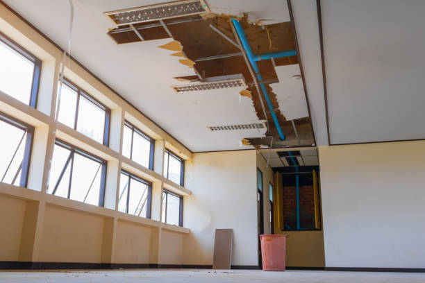 Best Flood damage cleanup  in Calico Rock, AR