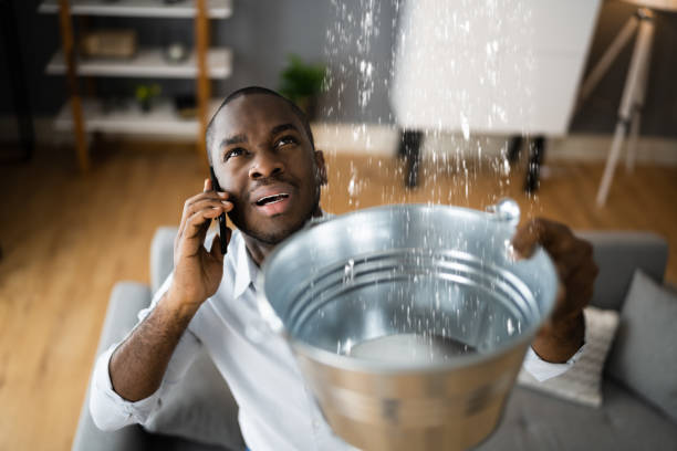 Best Water damage restoration near me  in Calico Rock, AR