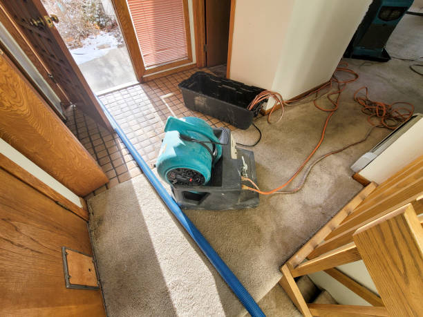 Best 24/7 water damage repair  in Calico Rock, AR