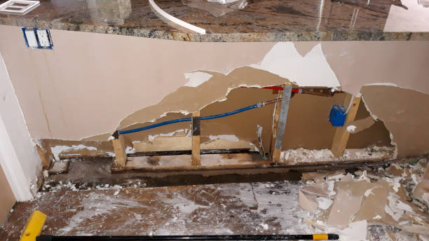 Best Water damage cleanup near me  in Calico Rock, AR