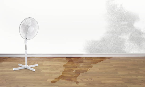  Calico Rock, AR Water damage restoration Pros