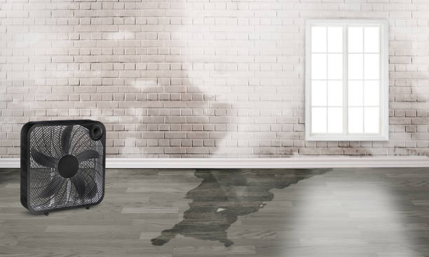 Best Emergency water damage restoration  in Calico Rock, AR