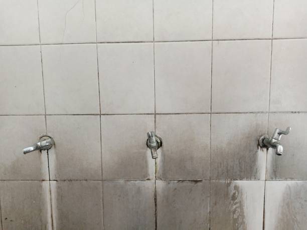 Best Flooded house restoration  in Calico Rock, AR