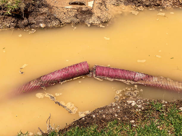Best Water damage restoration near me  in Calico Rock, AR