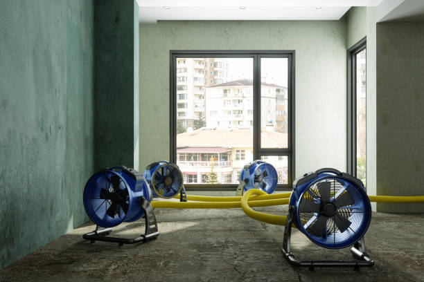 Best Residential water damage restoration  in Calico Rock, AR